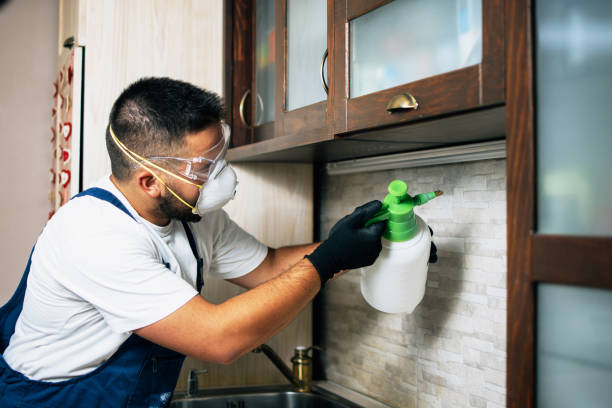 Best Bed Bug Extermination  in Keego Harbor, MI