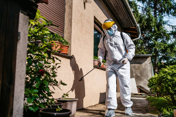 Best Pest Control for Homes  in Keego Harbor, MI
