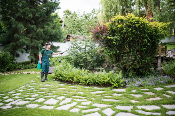Best Wasp Removal Services  in Keego Harbor, MI