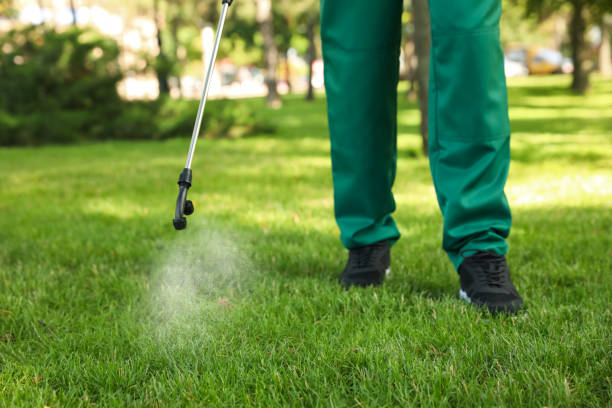 Best Affordable Pest Control Services  in Keego Harbor, MI