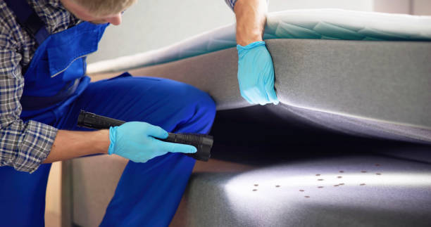 Best Residential Pest Control  in Keego Harbor, MI