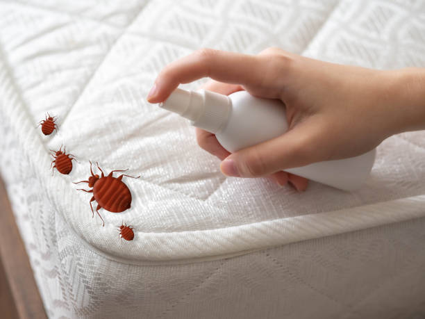 Best Cockroach Control Services  in Keego Harbor, MI