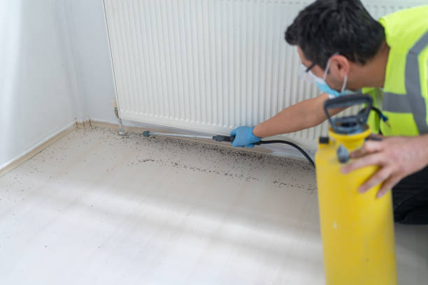 Best Commercial Pest Control Services  in Keego Harbor, MI